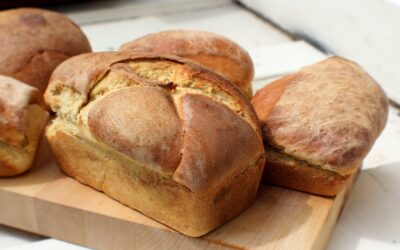 Best Bread Machines for Homemade Loaves