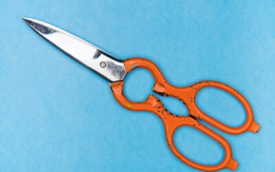 Best Kitchen Shears
