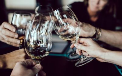 Best Wine Glasses for Every Occasion