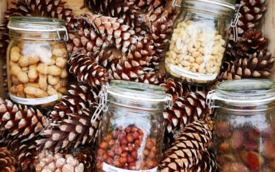 Best Pantry Storage Container Sets