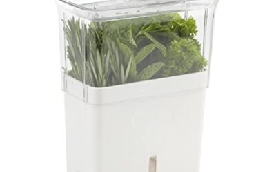 How to Store Fresh Herbs to Keep Them Vibrant Longer