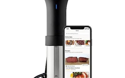 Review: Anova Culinary Sous Vide Precision Cooker