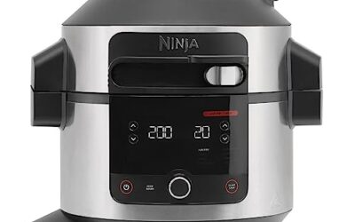 Review: Ninja Foodi 11-in-1 Pro Pressure Cooker & Air Fryer