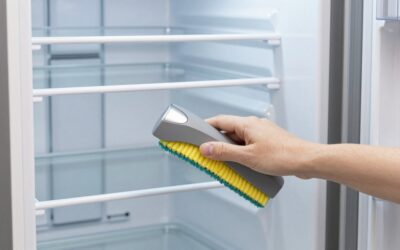 Best Cleaner for Inside of Refrigerator in 2026: Compared and Ranked