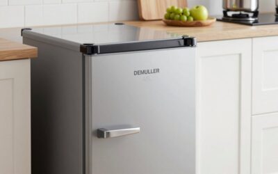 DEMULLER 45L Mini Fridge vs BANGSON Apartment 7 1 Cu Ft: Which Should You Buy?