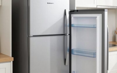 EUHOMY 53QT 12 Volt Refrigerator vs Feelfunn 3 2 Cu Ft Beverage: Which Should You Buy?