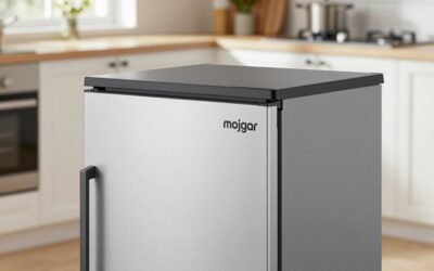 Mojgar 48 W Commercial Refrigerator Freezer vs ICEVIVAL 6 Cu Ft Commercial Beverage: Which Should You Buy?