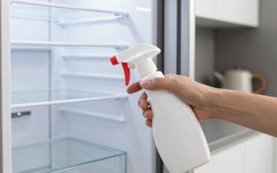 Refrigerator Cleaner Spray vs Citrusafe Cooler Cleaner: Which Should You Buy?