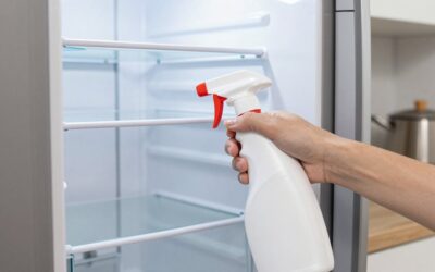 Refrigerator Cleaner Spray vs Citrusafe Cooler Cleaner: Which Should You Buy?