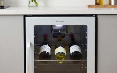 ROVSUN 18 Bottle Wine Fridge vs EUHOMY 18L Wine Fridge Mini Fridge: Which Should You Buy?