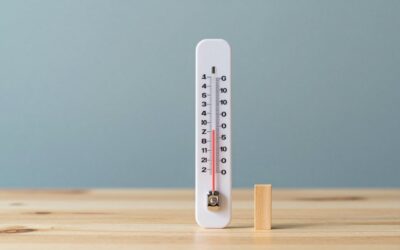Best Indoor Outdoor Thermometer: 10 Listings Compared by Sensor Range, Display and Extras